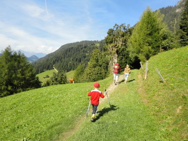 Hanslerfeld Alpbach Quarto foto